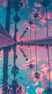 palm trees wallpaper