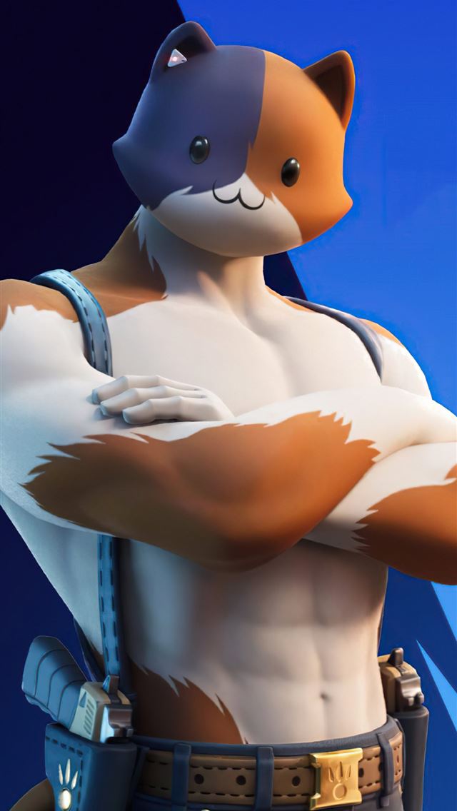 1284x2778 meowscles fortnite - meowscles fortnite iPhone Wallpaper