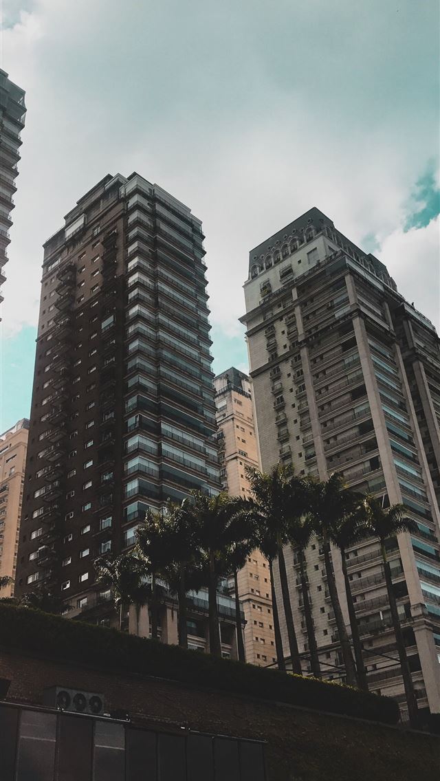 1284x2778 sao paulo - sao paulo iPhone Wallpaper