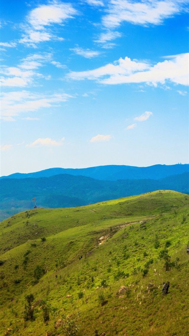 1284x2778 sao paulo - sao paulo iPhone Wallpaper