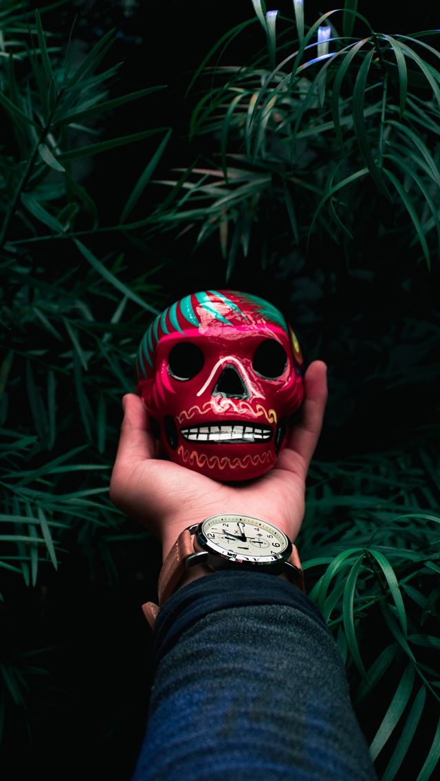 1284x2778 day of the dead - day of the dead iPhone Wallpaper
