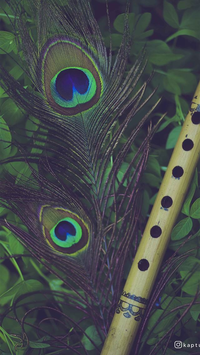1284x2778 flute - flute iPhone Wallpaper