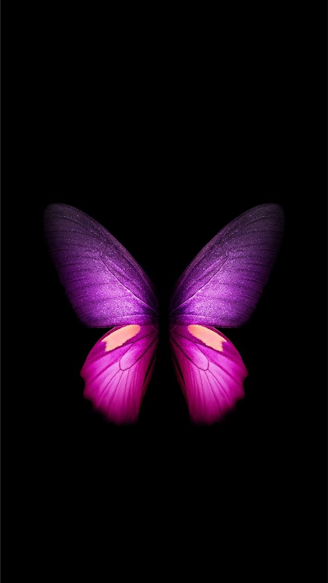 1284x2778 butterfly - butterfly iPhone Wallpaper
