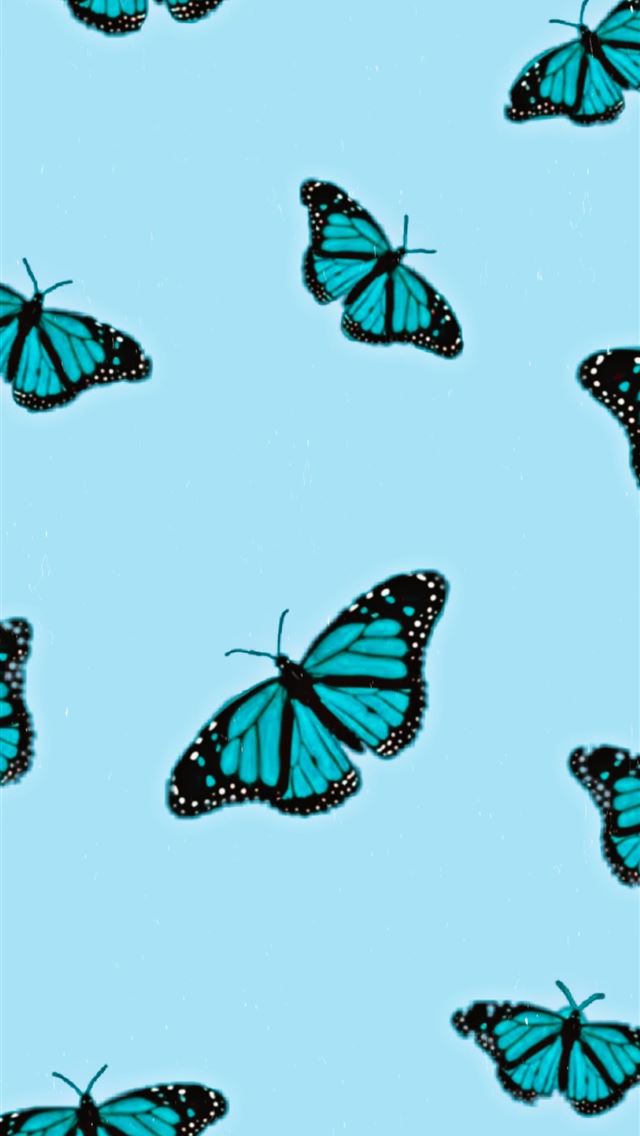 640x1136 butterfly -  iPhone Wallpaper