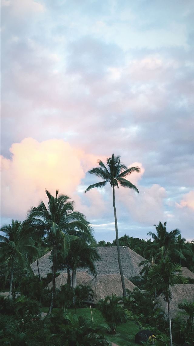 1284x2778 fiji - fiji iPhone Wallpaper