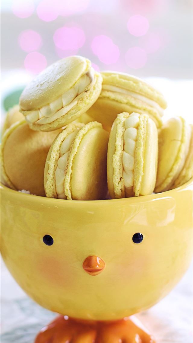 1284x2778 chick - chick iPhone Wallpaper