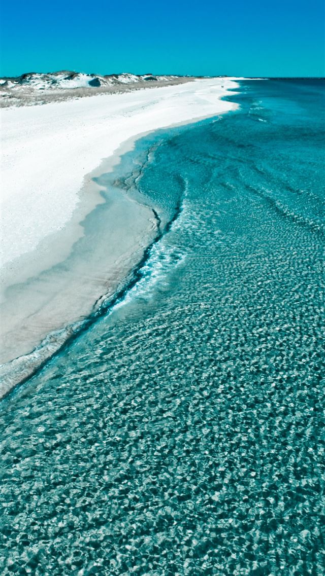 1284x2778 florida - florida iPhone Wallpaper