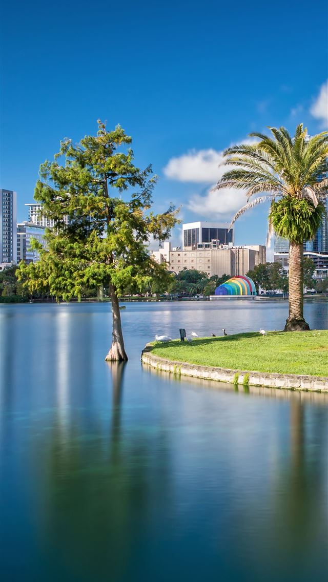 1284x2778 florida - florida iPhone Wallpaper