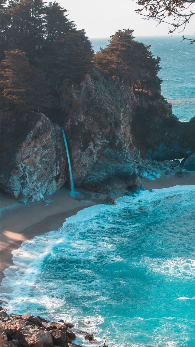 1284x2778 florida - florida iPhone Wallpaper