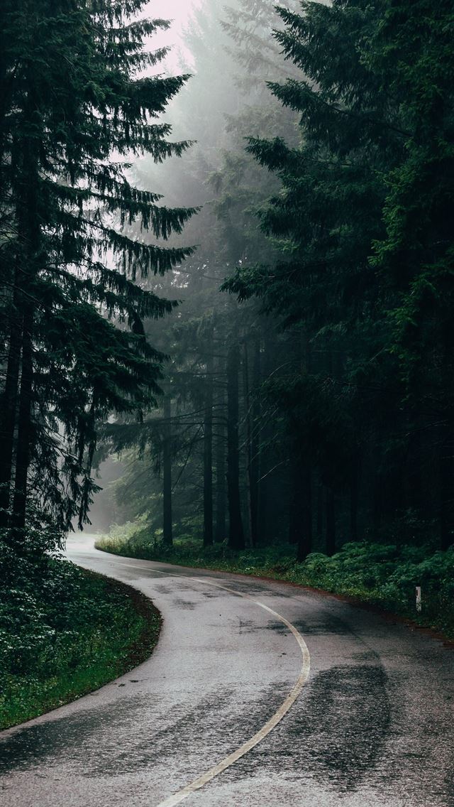 1284x2778 serbia - serbia iPhone Wallpaper