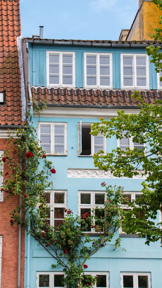 1284x2778 denmark - denmark iPhone Wallpaper