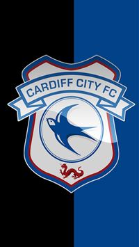 leicester city fc wallpaper