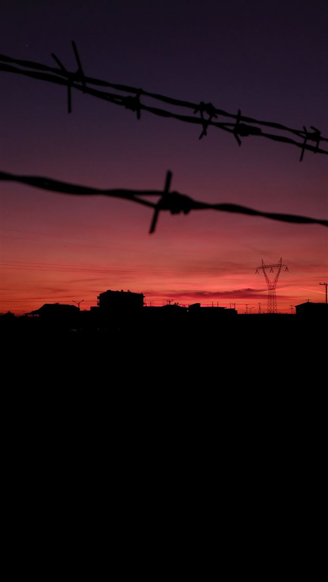 1284x2778 the wire - the wire iPhone Wallpaper