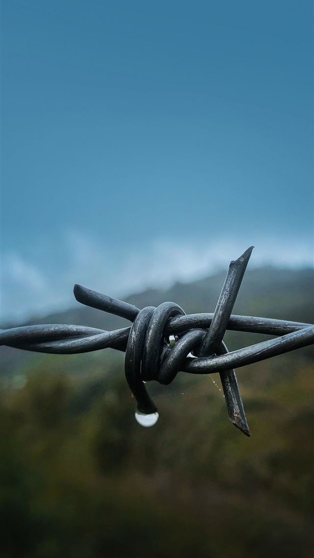 1284x2778 the wire - the wire iPhone Wallpaper