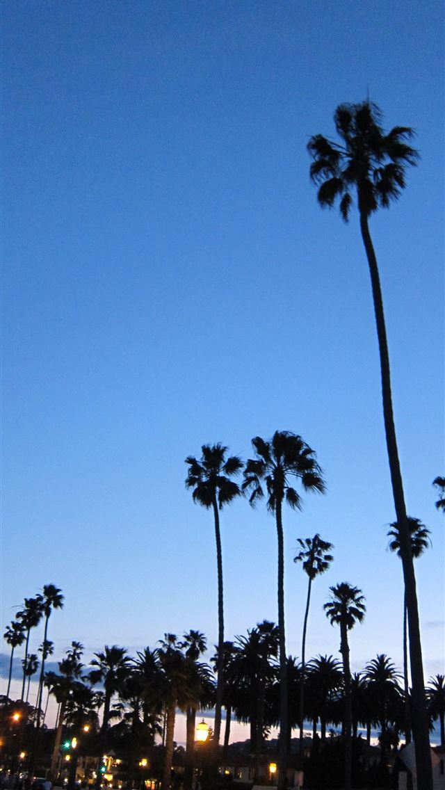 1284x2778 california - california iPhone Wallpaper