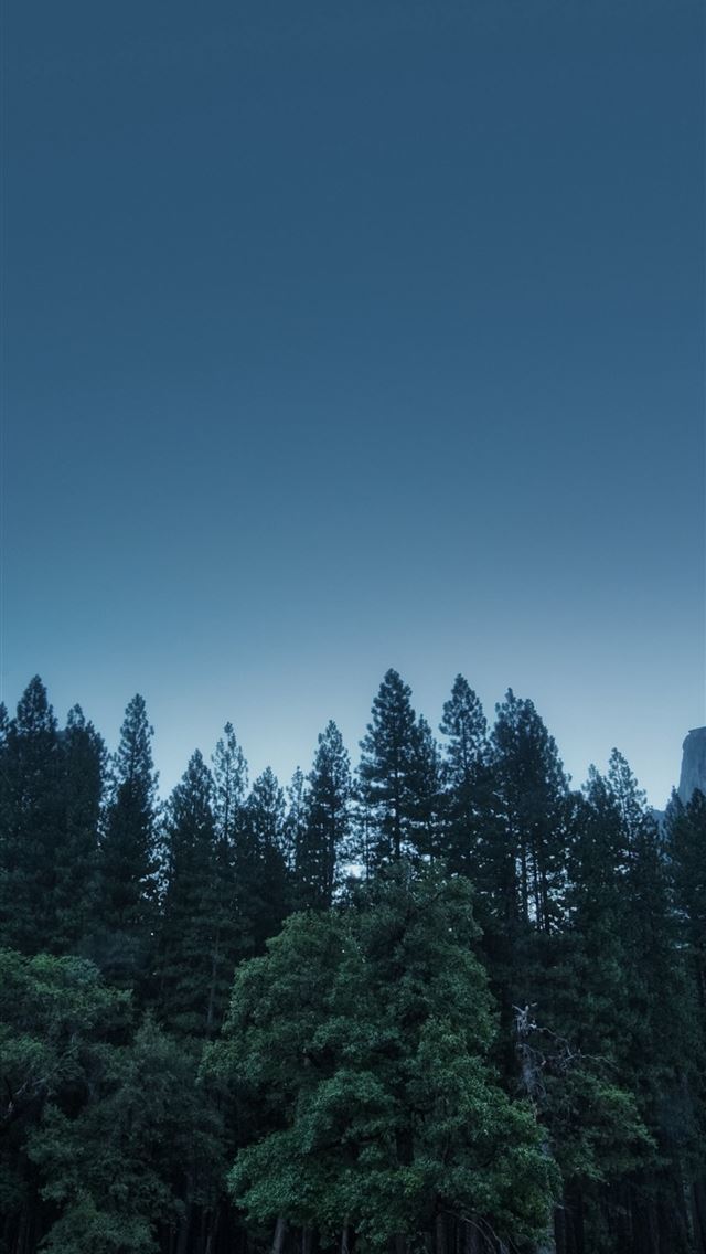 1284x2778 california - california iPhone Wallpaper