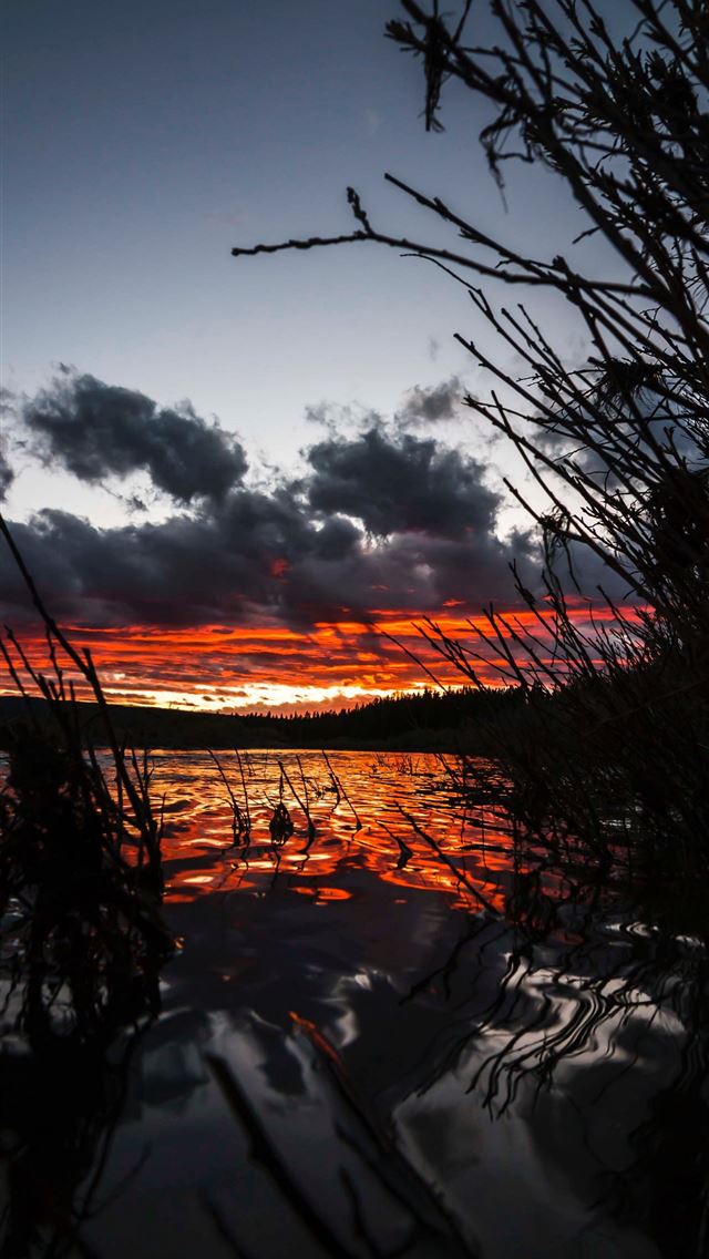 1284x2778 yellowstone national park - yellowstone national park iPhone Wallpaper