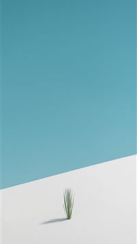 new mexico wallpaper