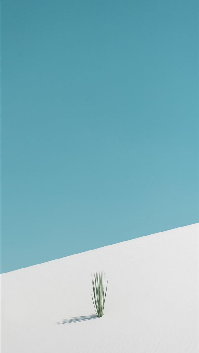 1125x2436 new mexico - new mexico iPhone Wallpaper