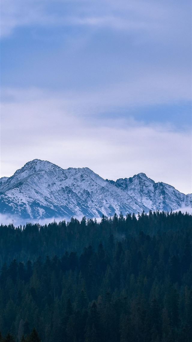 1284x2778 poland - poland iPhone Wallpaper