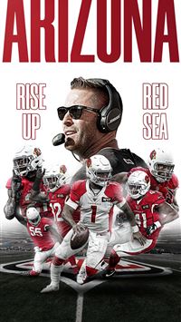 Arizona Cardinals Wallpapers  Arizona cardinals wallpaper, Cardinals  wallpaper, Arizona cardinals football