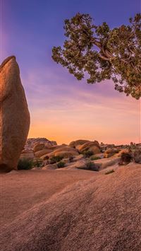 joshua tree national park wallpaper