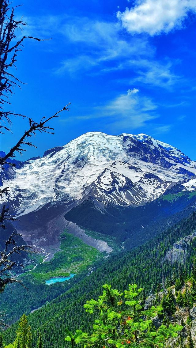 1284x2778 mount rainier national park - mount rainier national park iPhone Wallpaper