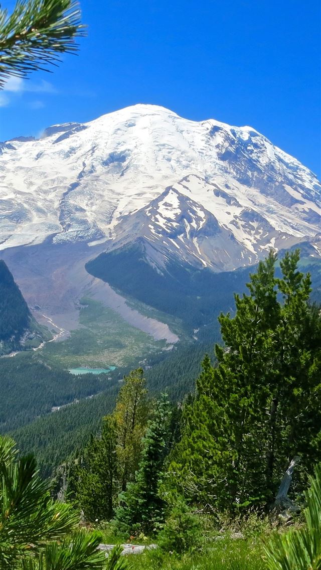 1284x2778 mount rainier national park - mount rainier national park iPhone Wallpaper