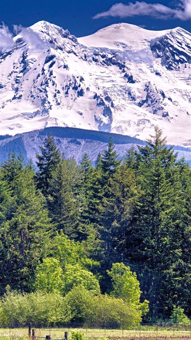 1284x2778 mount rainier national park - mount rainier national park iPhone Wallpaper