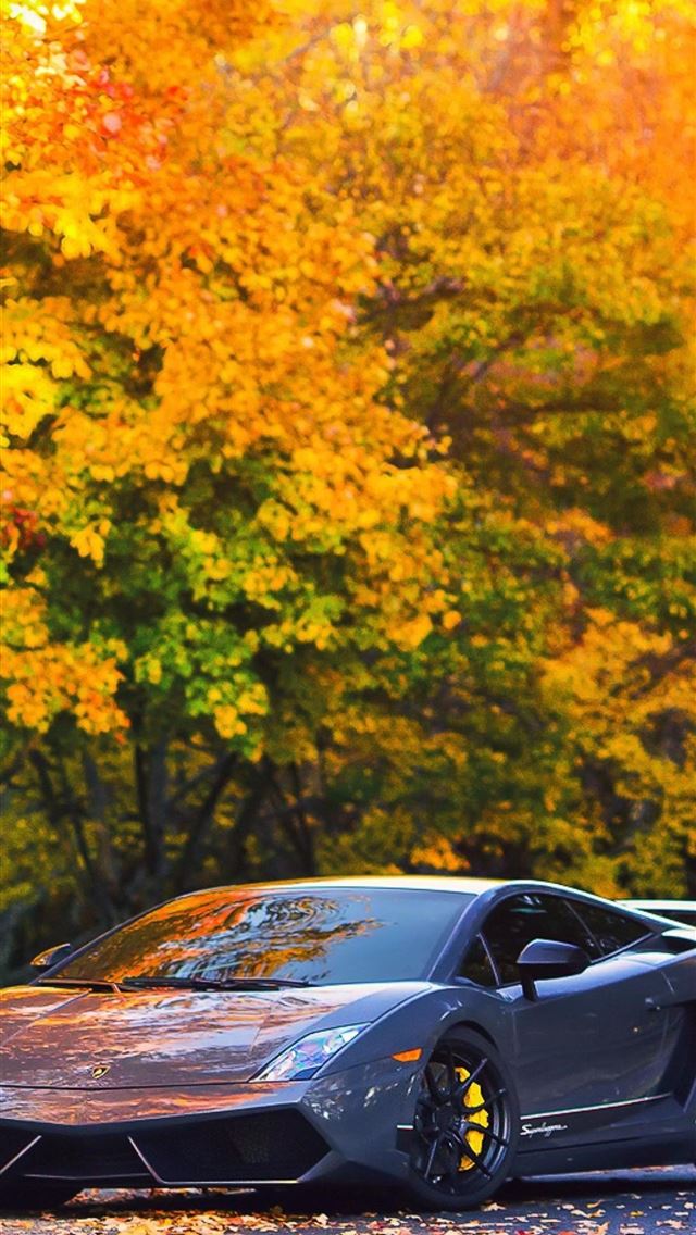 1284x2778 lamborghini galardo - lamborghini galardo iPhone Wallpaper