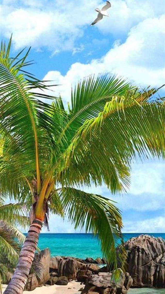 1284x2778 galapagos islands - galapagos islands iPhone Wallpaper