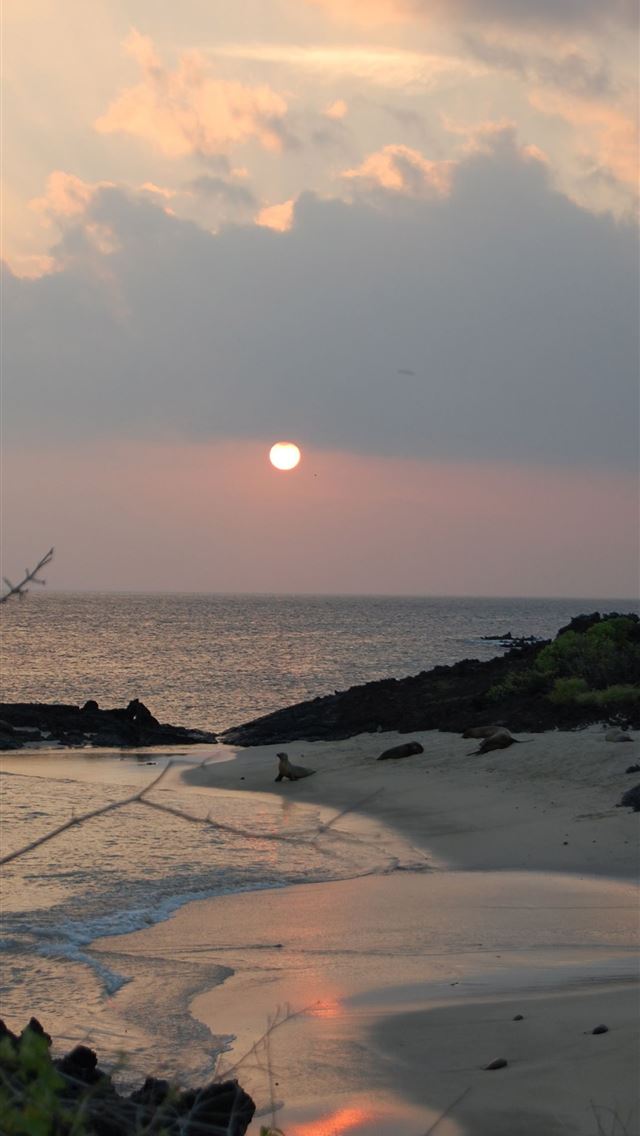 1284x2778 galapagos islands - galapagos islands iPhone Wallpaper