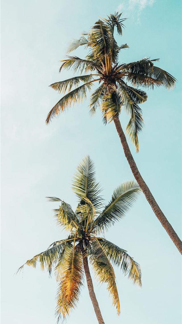1284x2778 tanzania - tanzania iPhone Wallpaper