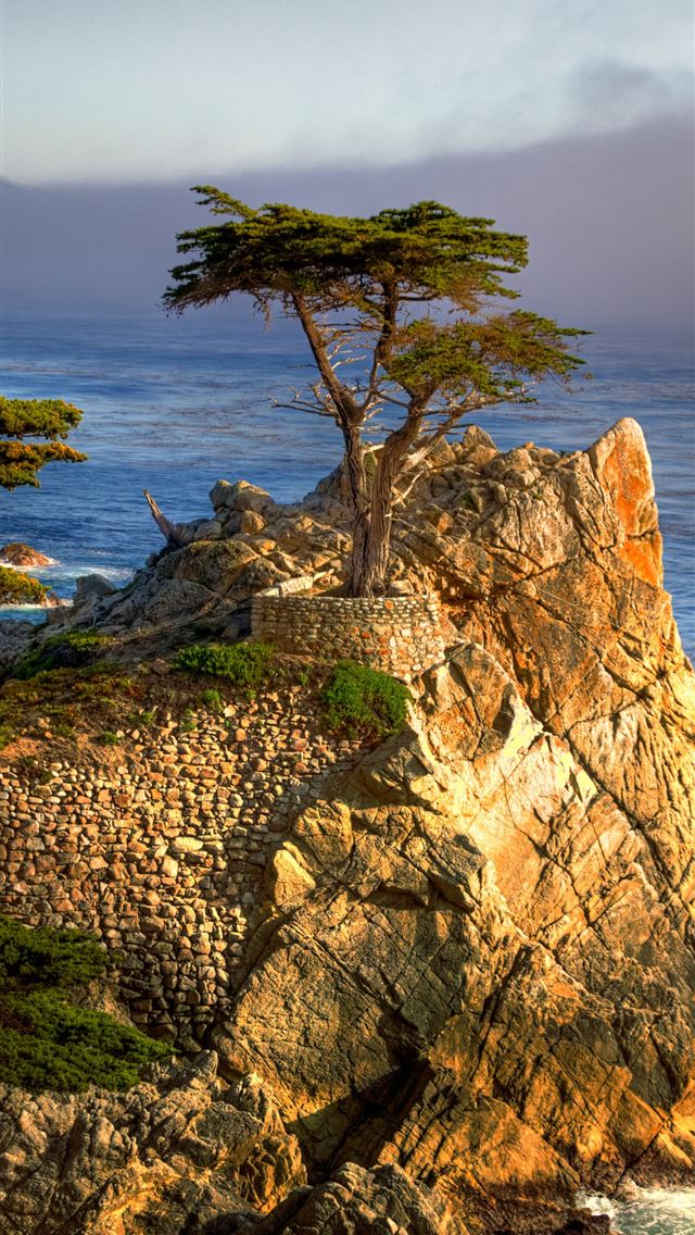 1284x2778 cyprus - cyprus iPhone Wallpaper