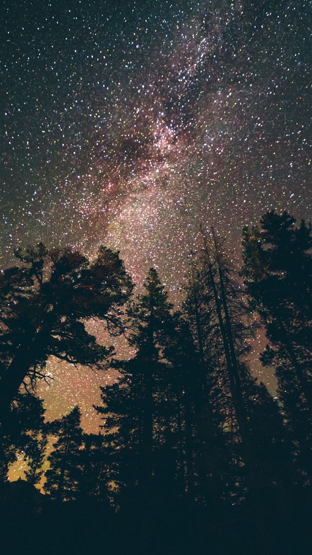 1284x2778 google pixel 2 - google pixel 2 iPhone Wallpaper