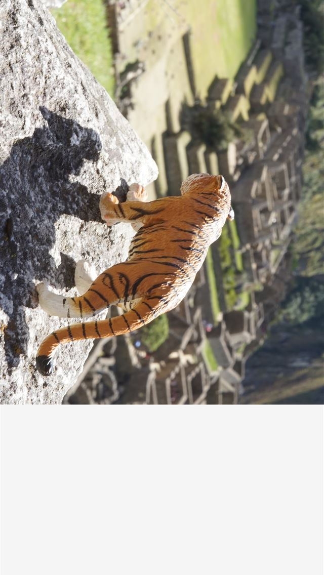 1284x2778 peru - peru iPhone Wallpaper