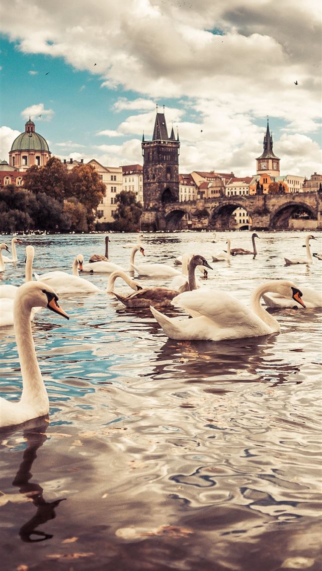 1284x2778 czech republic - czech republic iPhone Wallpaper