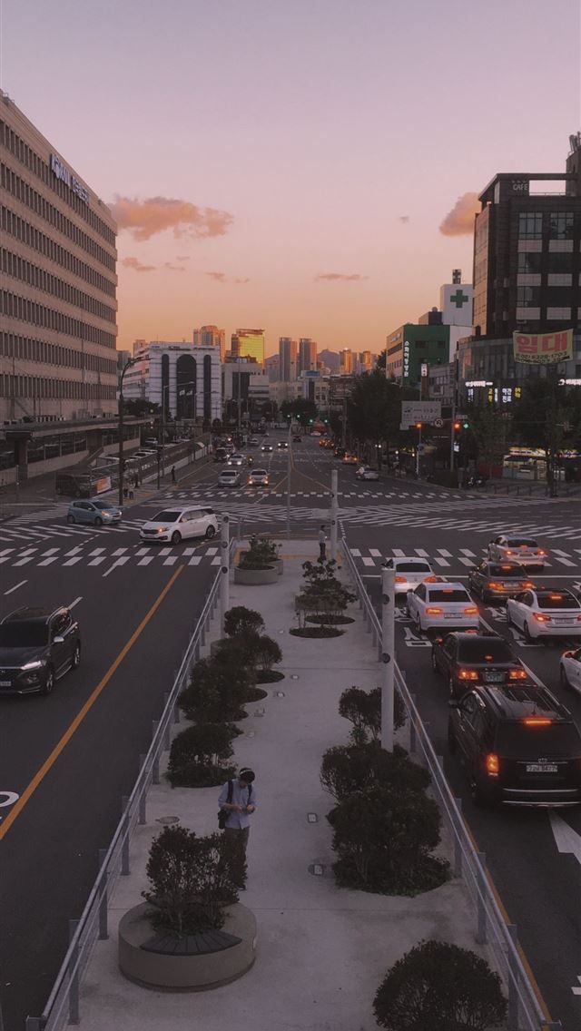 1284x2778 seoul - seoul iPhone Wallpaper