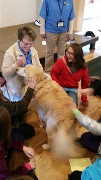 cuyahoga valley national park wallpaper