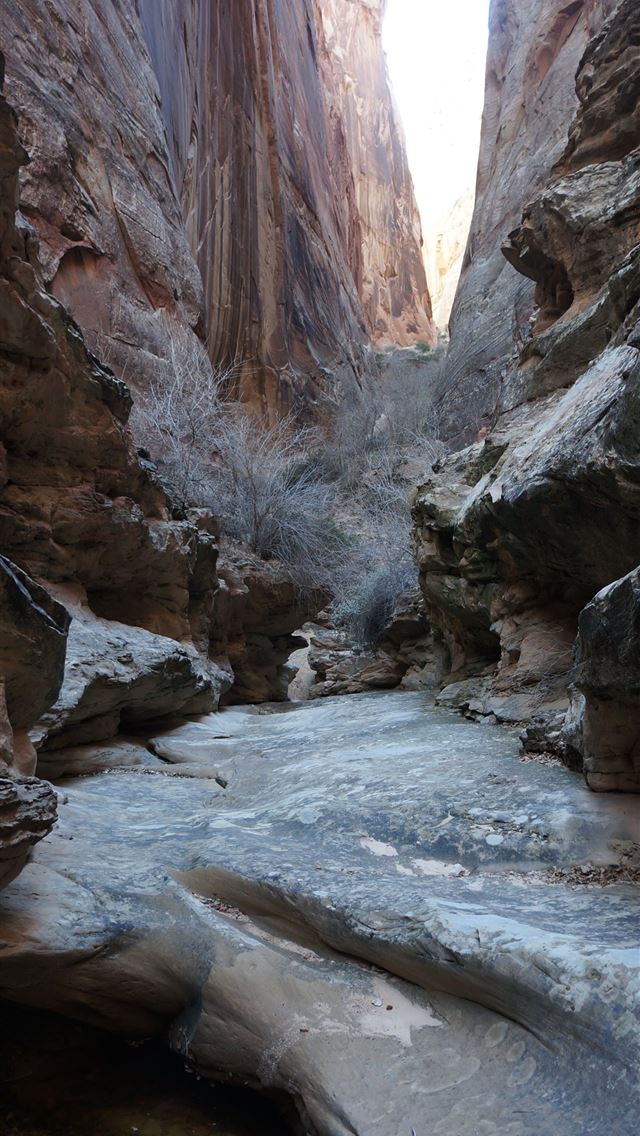 1284x2778 capitol reef national park - capitol reef national park iPhone Wallpaper