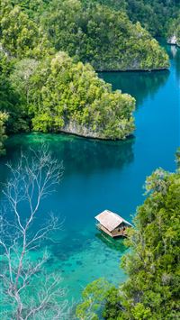 raja ampat islands wallpaper