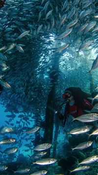 raja ampat islands wallpaper