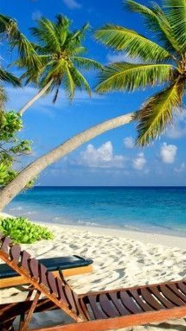 1284x2778 zanzibar - zanzibar iPhone Wallpaper