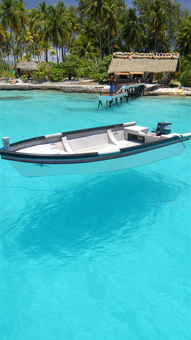 1284x2778 zanzibar - zanzibar iPhone Wallpaper