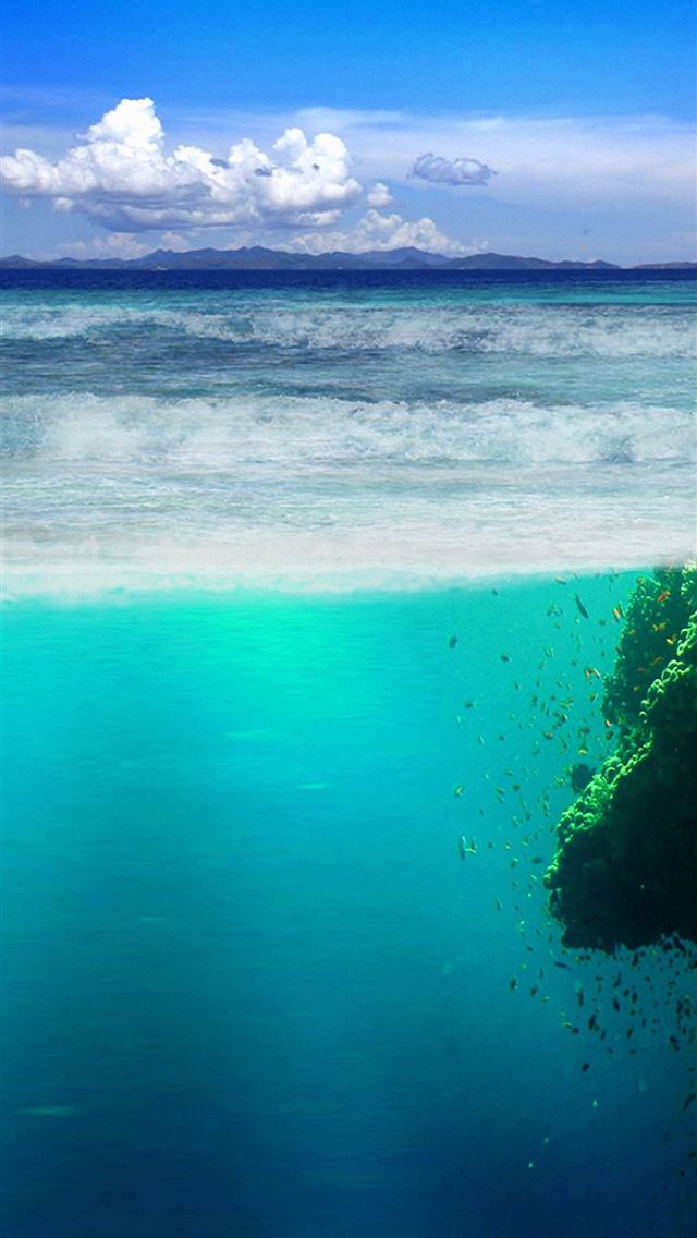 1284x2778 zanzibar - zanzibar iPhone Wallpaper