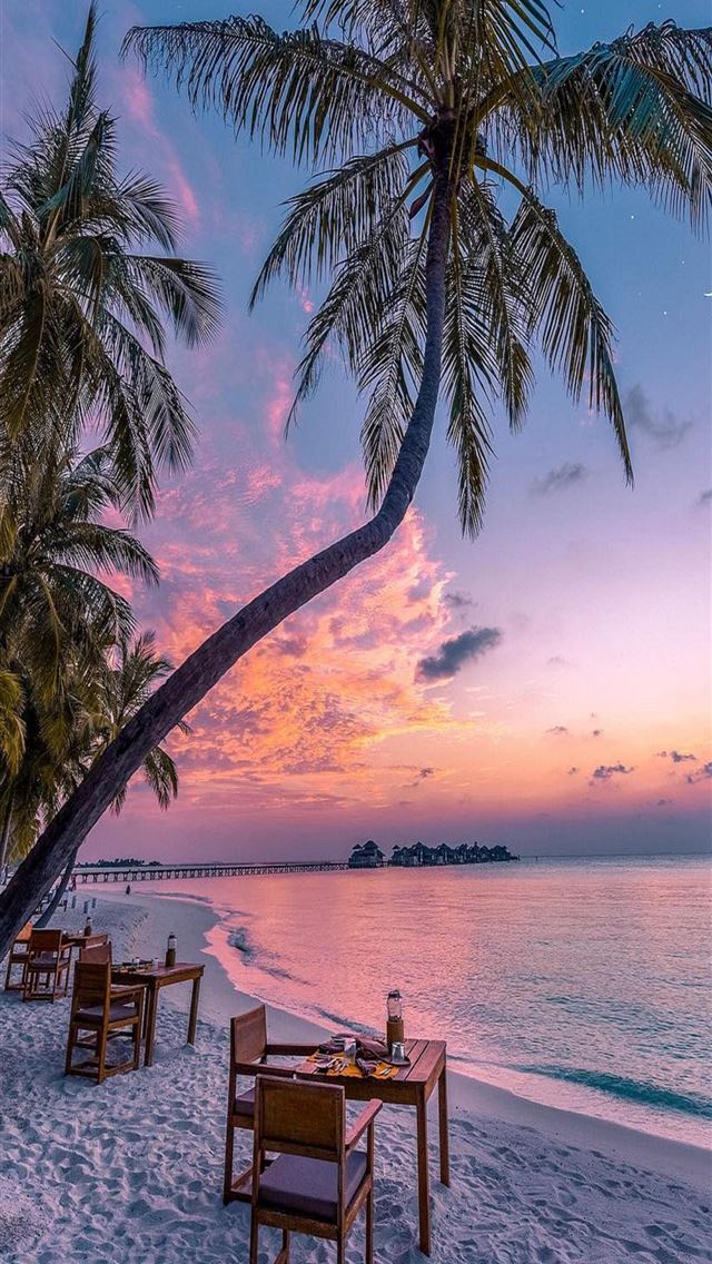 1284x2778 zanzibar - zanzibar iPhone Wallpaper