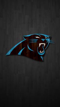 cam newton wallpaper