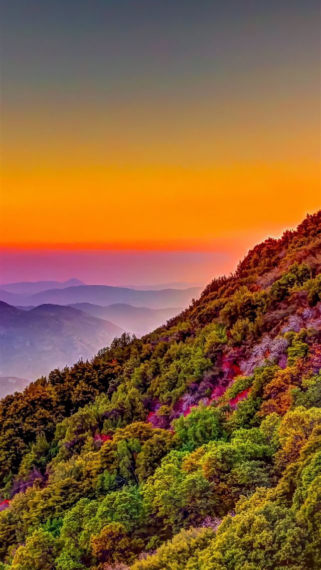 1284x2778 sequoia national park - sequoia national park iPhone Wallpaper