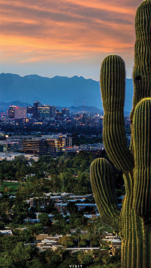 1284x2778 phoenix arizona - phoenix arizona iPhone Wallpaper