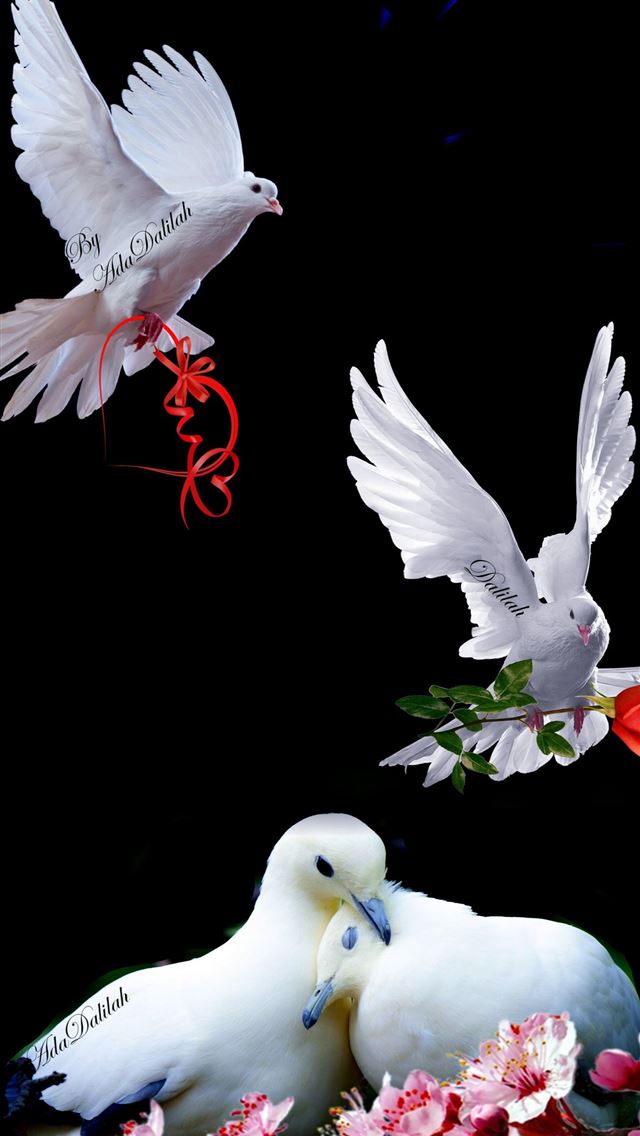 1284x2778 dove - dove iPhone Wallpaper